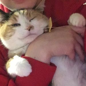 Meet your Posher, Gracie